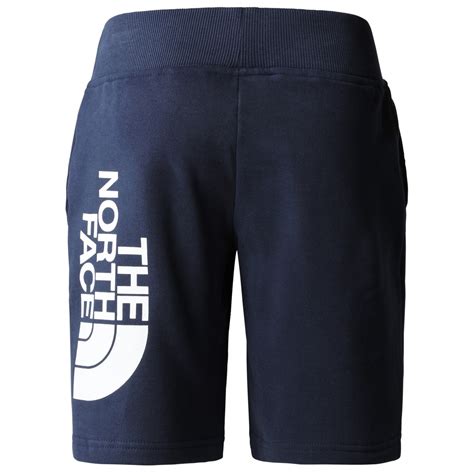 mens shorts north face 11