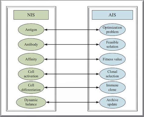 The mapping relationship between NIS and AIS. | Download Scientific Diagram