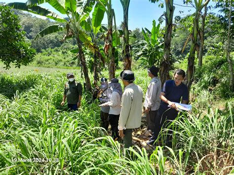 BPSBP Balai Pengawasan Dan Sertifikasi Benih Perkebunan