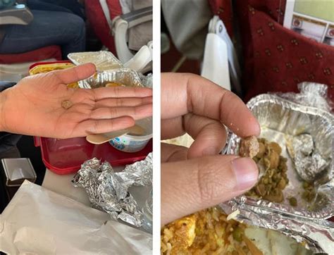 Passenger Finds Stone In AI In Flight Meal Airline Says Strict Action