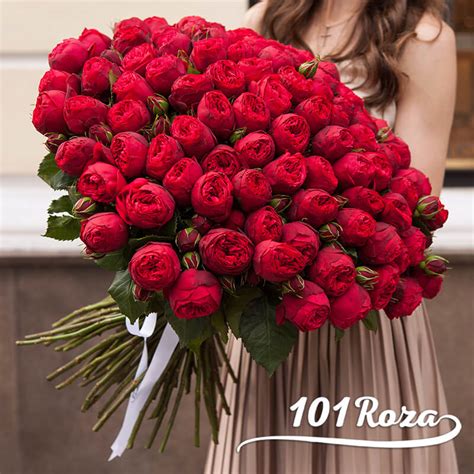 101 Пионовидная Роза Red Piano Купить с Доставкой в Москве Недорого