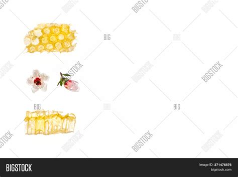 Honeycomb Pure New Image & Photo (Free Trial) | Bigstock