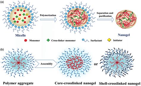 Schematic Illustration Of The Nanogel Network Created By A Direct