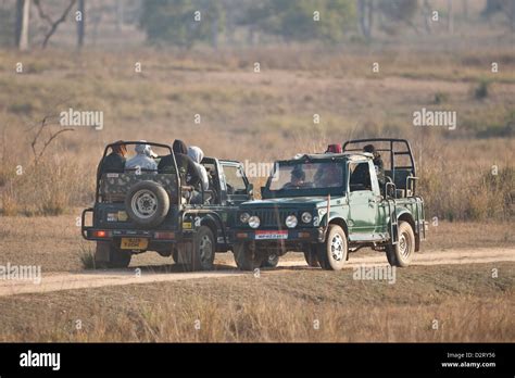 Wildlife Tourism Kanha Tiger Reserve India Stock Photo Alamy