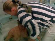 Naked Elena Yakovleva In Interdevochka