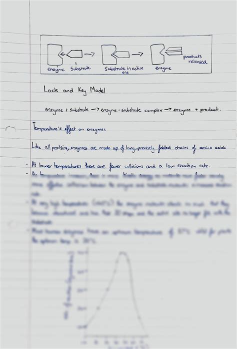 Solution Cie Igcse Biology Extended To Enzymes Studypool