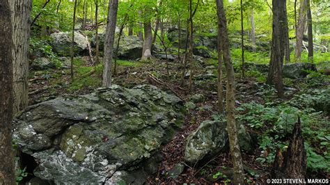 Catoctin Mountain Park Browns Farm Trail Bringing You America One