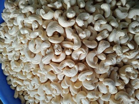 Raw Natural White Wholes Cashew Packaging Size 10 Kg Grade W240 At