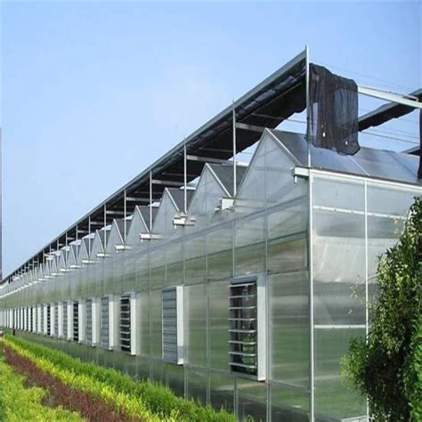 Galvanized Steel Frame Agricultural Venlo Type Polycarbonate Sheet Pc