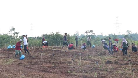 Dishut Kalsel Kembali Gelorakan Semangat Revolusi Hijau Tanam