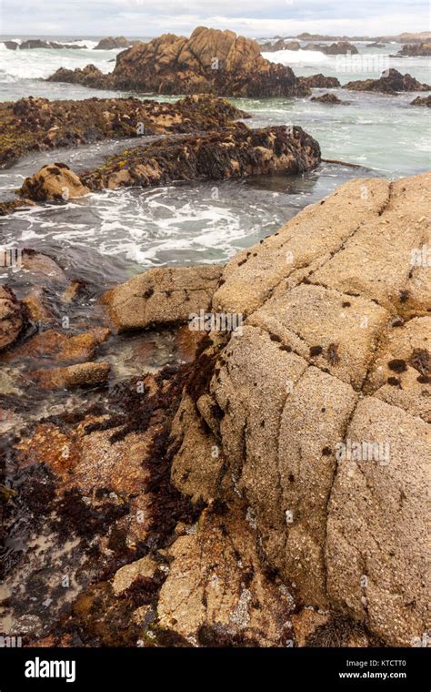 17 Mile Drive Is A Scenic Road Through Pebble Beach And Pacific Grove