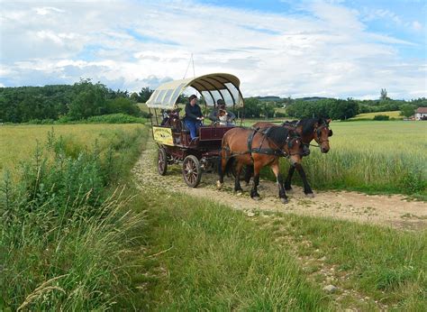 Les Attelages De La Bievre Saint Hilaire De La Cote All You Need To