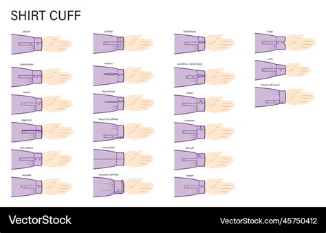 Set Of Cuff In Shirt Sleeves Clothes Types Vector Image