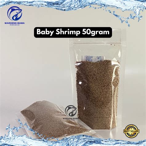 Jual Baby Shrimp 50 Gram Pakan Ikan Cupang Guppy Molly Dan Ikan Hias