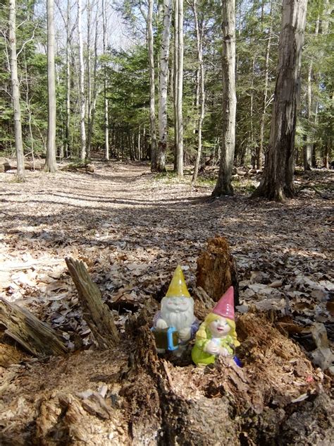 Families at Northport obituaries protest the new digital fees 39