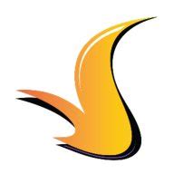 Đi suối nếu không có bikini thì mặt gì đẹp và phù hợp xuống nước AI Hay Hỏi ngay đáp hay