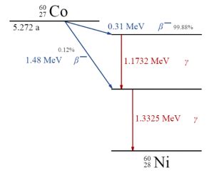 Radioactive Gamma Decay | Applications Of Gamma Ray | Physics