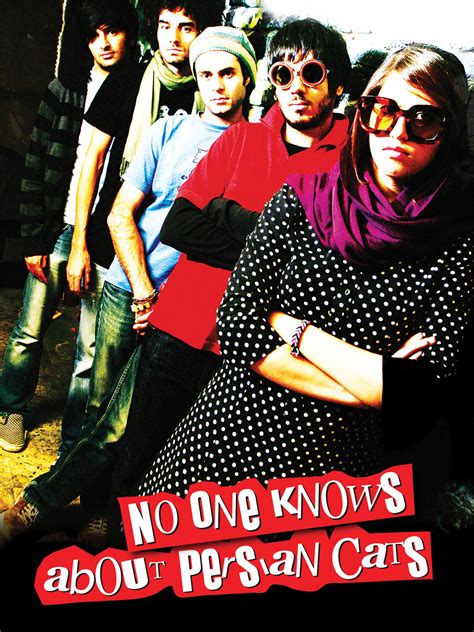 Prime Video: No One Knows About Persian Cats