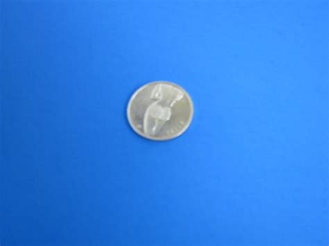 Vintage Bikini Nude Woman Heads or Tails Adult Risqué Flipping Coin Adult Token