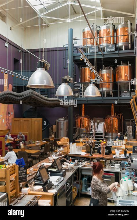 micro brewery brewing real ale craft beer  greenwich london england uk showing