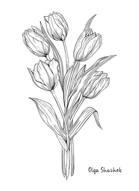 Pin by pussy sad on der Fühllehre Tulips art Tulip tattoo Flower sketches