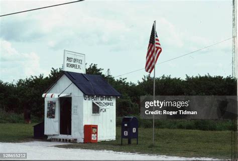 120 Ochopee Florida Stock Photos, High-Res Pictures, and Images - Getty ...