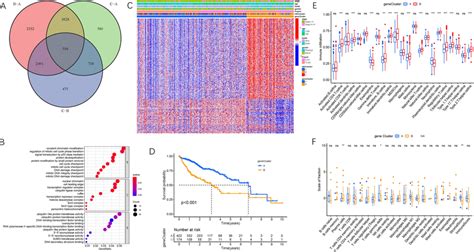 Construction Of Differential Expression Of M6A Gene Signatures And