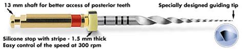 endodontics ni ti instruments protaper system