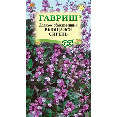 Семена Цветы, Долихос, Гиацинтовые бобы, Вьющаяся сирень, Цветочная ...