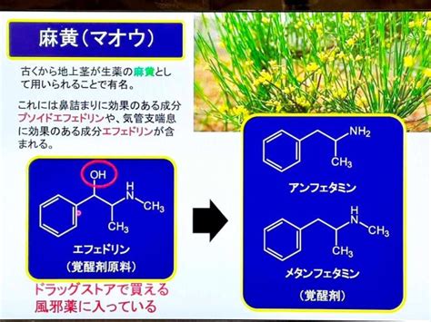 薬物乱用防止教育を行いました - 埼玉栄中学・高等学校