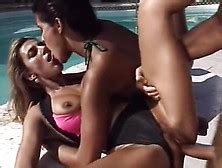 Selen Nude Pornstar Search Results