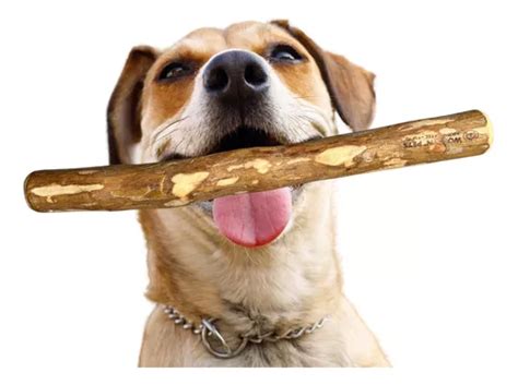 Brinquedo Cachorro Pet Mordedor Wood Extreme Hard H Cor Nude Mercadolivre