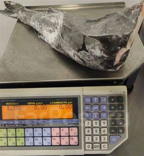 Угольня РЫБА ПБГ Черная Треска М Мешок 20КГ, ЦЕНА 980Р ЗА КГ ОПТ, в ...