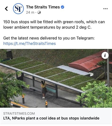 150 Bus Stops Will Be Fitted With Green Roofs Which Can Lower Ambient