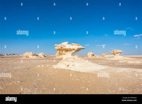 Mushroom rock formations at the Western White Desert of Egypt Stock ...