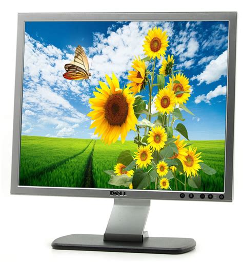 Dell SP1908FPt 19 Fullscreen LCD Monitor