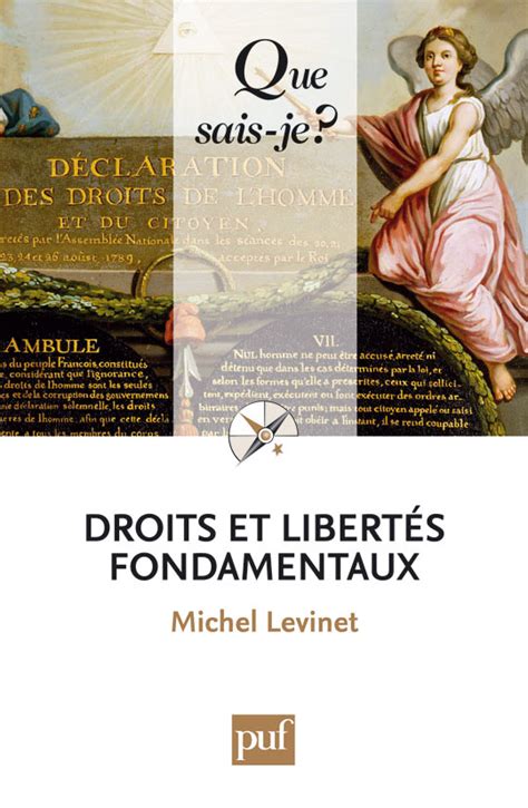 Droit Des Libertés Fondamentales Decitre