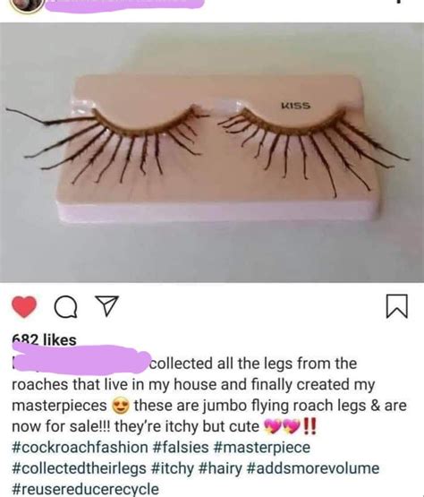 heard   term spider lashes   ready