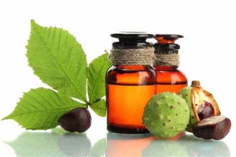 Экстракт Конского каштана масляный для мыловарения и производства ...
