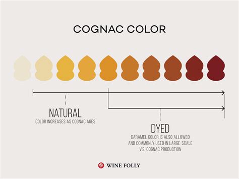 The Guide To Finding Great Cognac Wine Folly