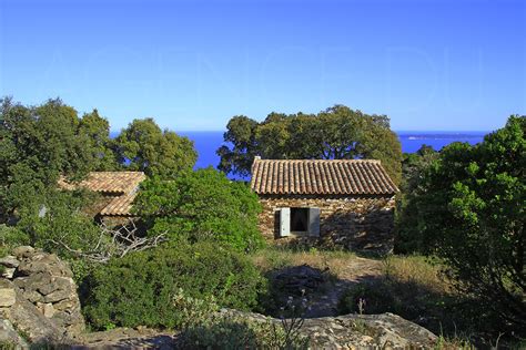 Maison A Vendre Vue Mer Bergerie Air De Corse Chambres Piscine