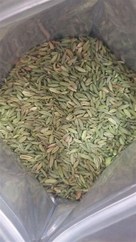 Fennel Seeds Saunf Variyali Packaging Size 25 Kg At Rs 140 Kg In