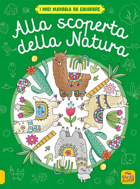 Il Mondo Delle Principesse I Miei Mandala Da Colorare Ediz Illustrata 4