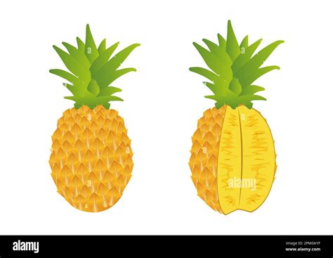 Pineapple And Cuted Pineapple Stock Vector Image Art Alamy