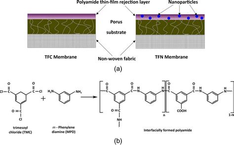 The Scheme Of The Structure Of Thin Film Composite And Thin Film