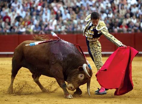 viewed matador wallpapers  wallpapers