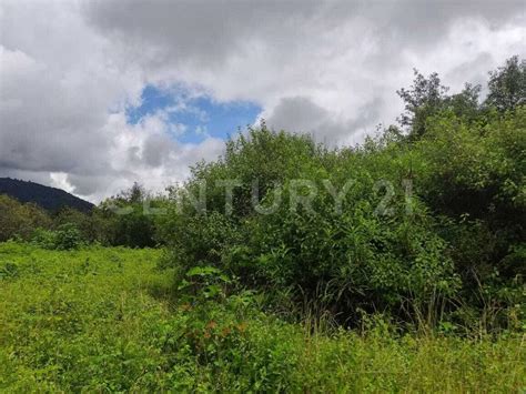 Lotes de Terreno en Venta en Tenancingo Estado de México Edo de