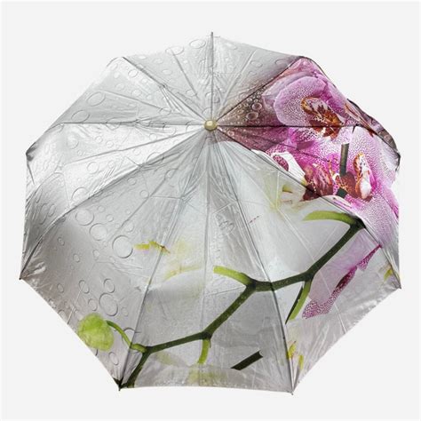 Зонт складной Rainbrella 190463 полуавтомат Бежевый (2200005043875) – в ...