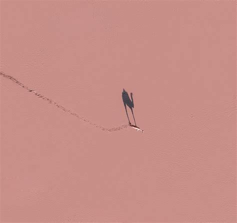 COP27: 'Climate chaos' warning as UN summit begins | Climate NI