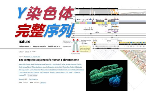 【文献速递】新知42 首个y染色体完整序列 人类基因组填补空白 生命中国 生命中国 哔哩哔哩视频